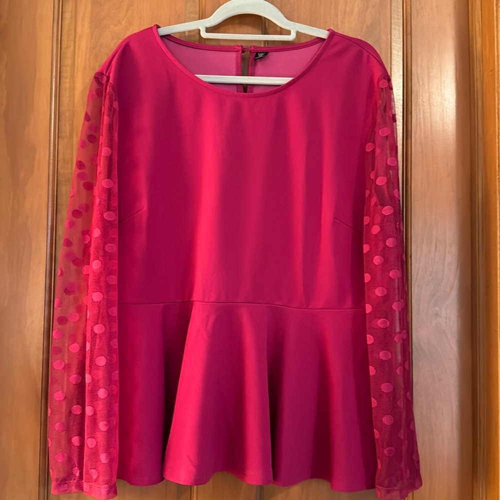 SHEIN Long Sheer Sleeve Beautiful Pink Top